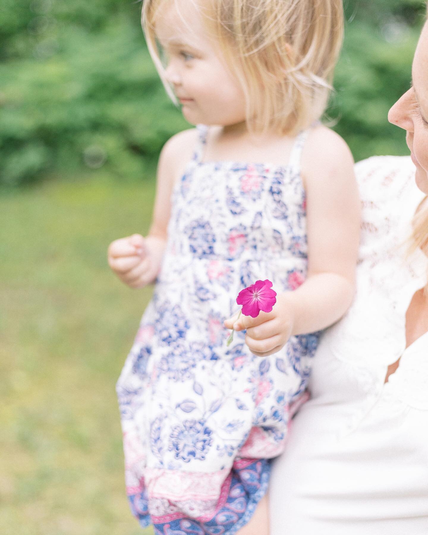 I forgot just how beautiful the summer flowers in the Midwest are #denverfamilyphotographer